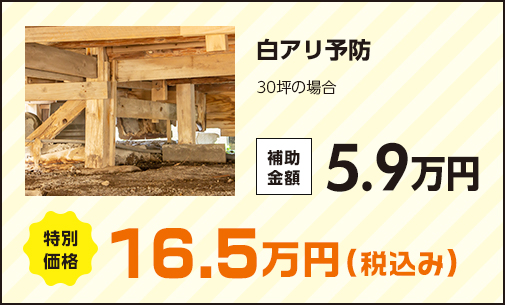 白アリ予防 30坪の場合 補助金額5.9万円 特別価格16.5万円(税込み)